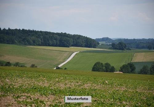 Keine Originalbilder