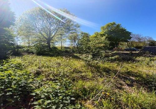 photo 2026-04-28 19-57-04