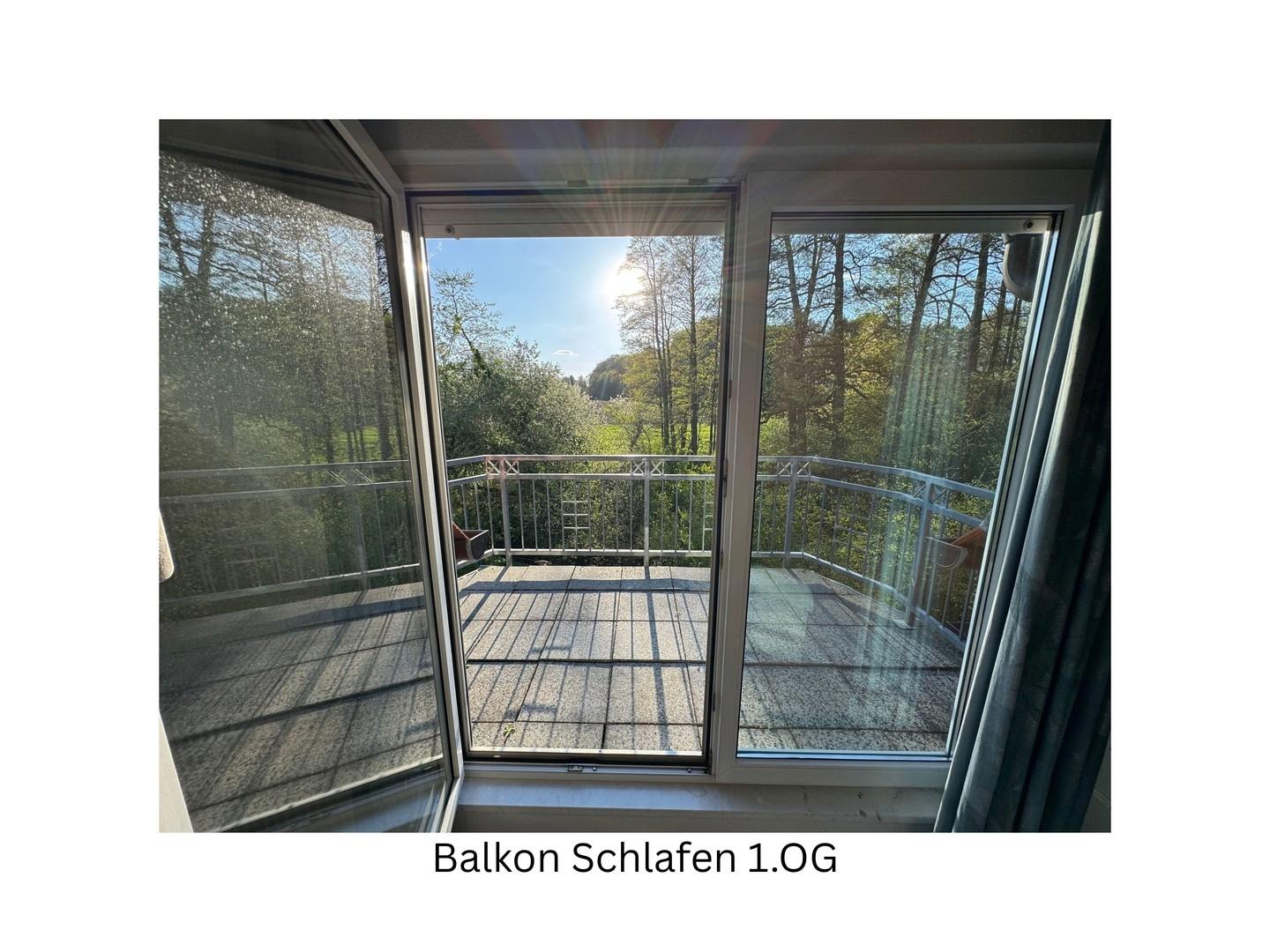 Balkon Schlzi. 1.OG
