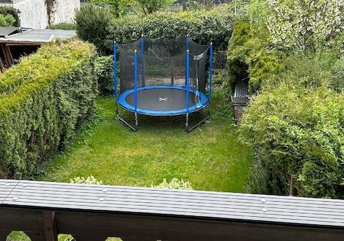 Blick in den Garten
