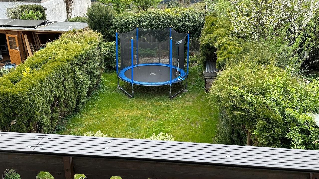 Blick in den Garten