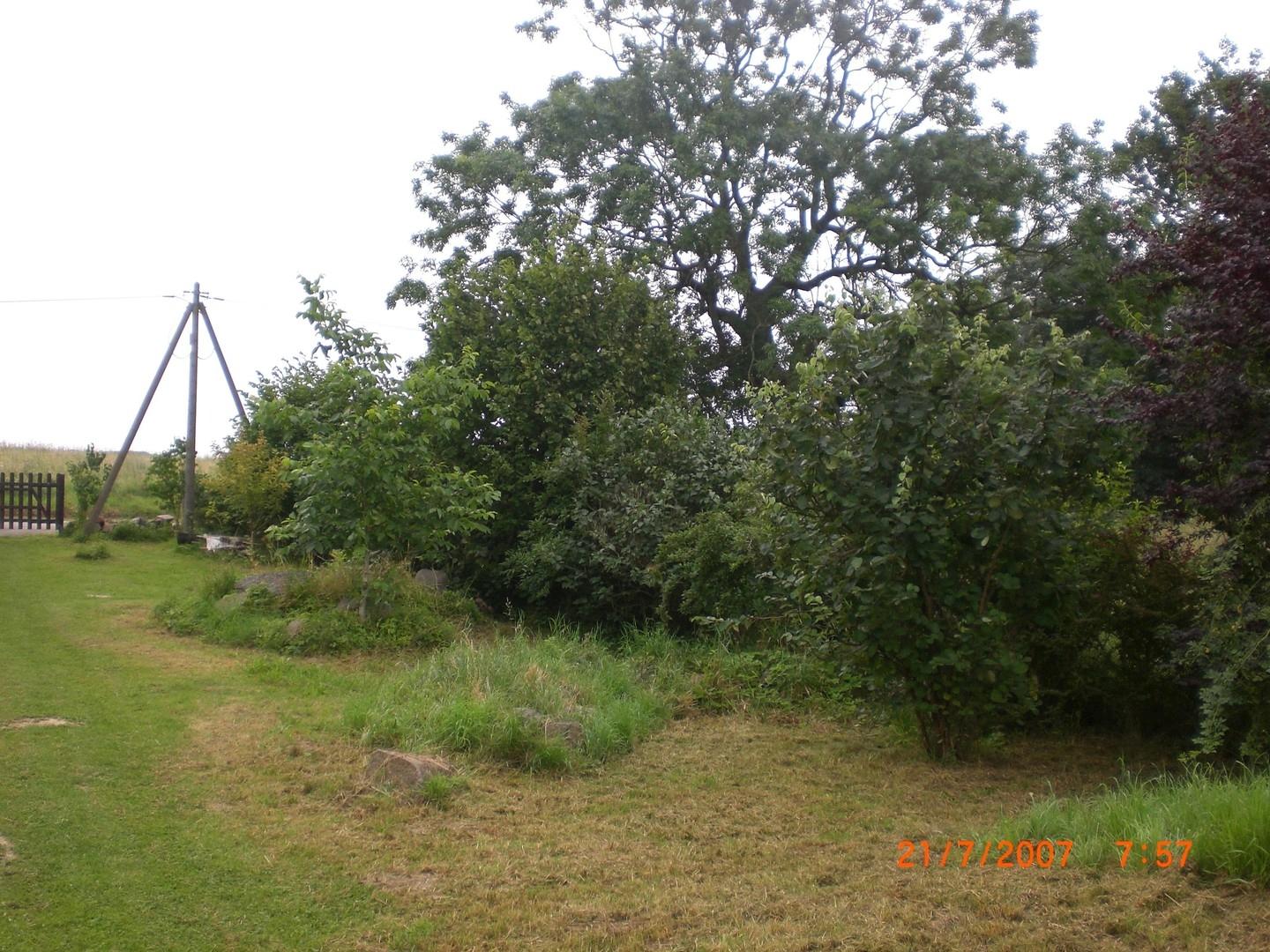 weitere Fotos verfügbar