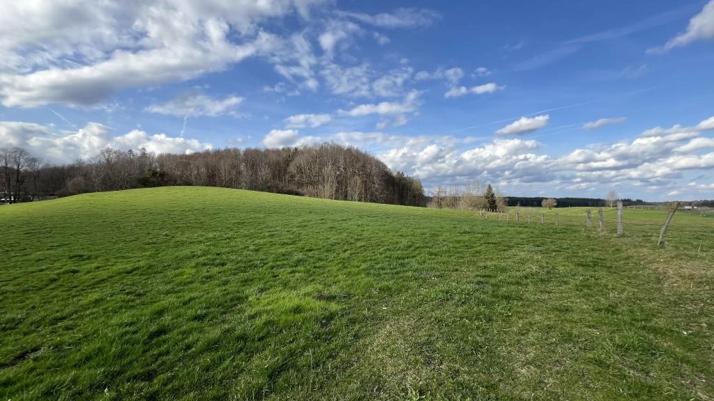 Landliebe Starnberg