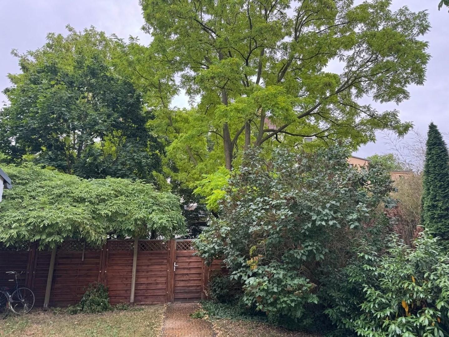 Blick in den Garten