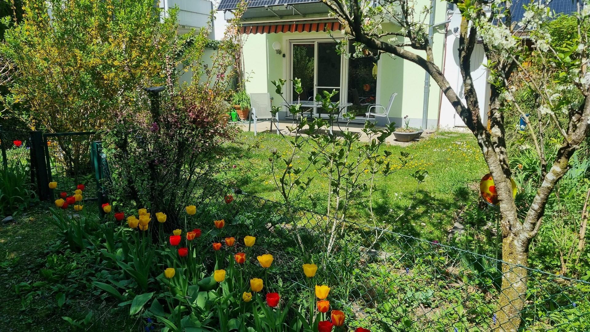 41_Garten