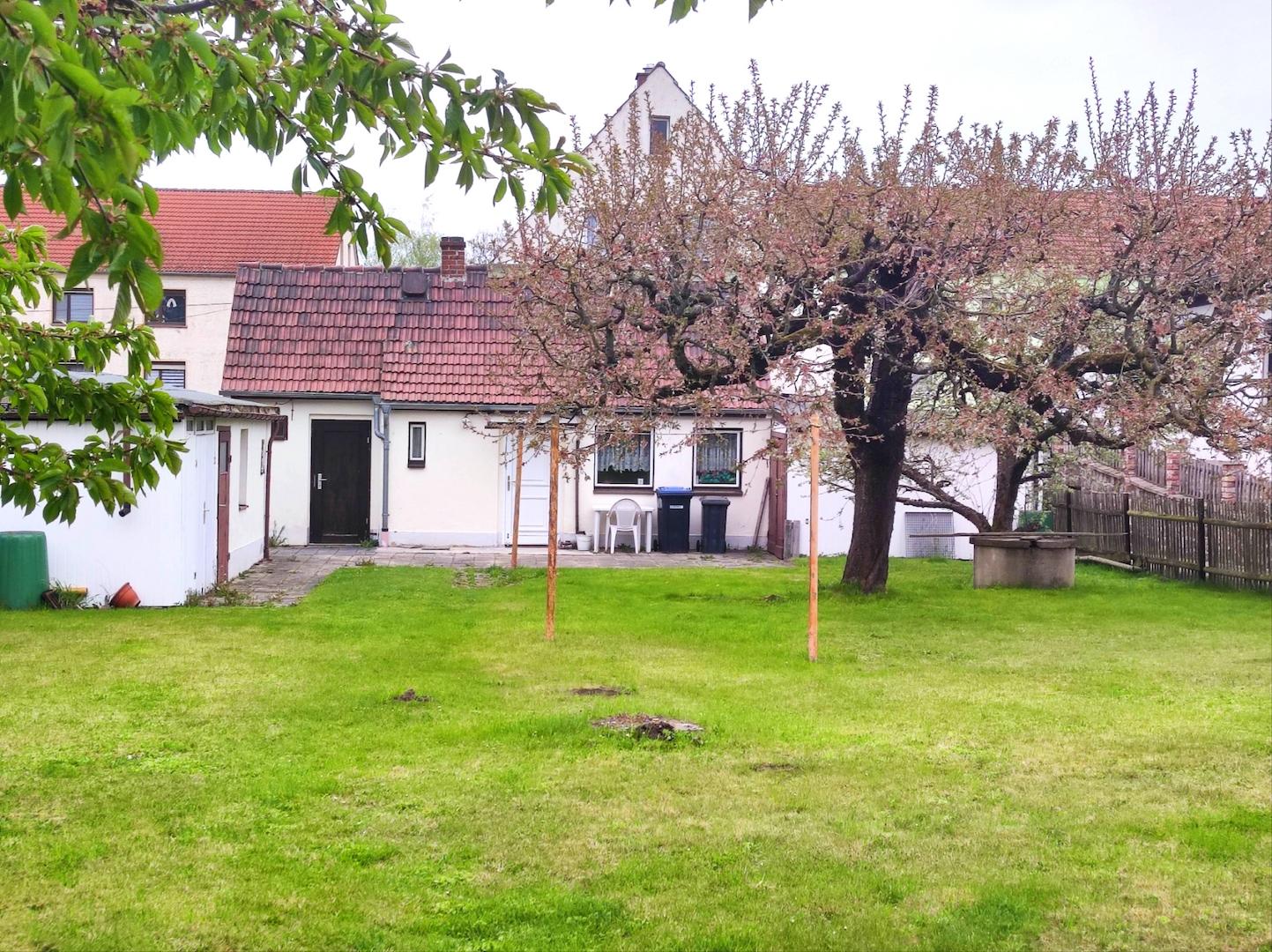 Blick vom Garten