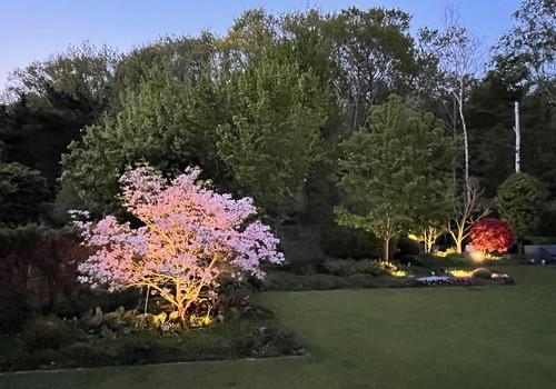 Garten in der Dämmerung