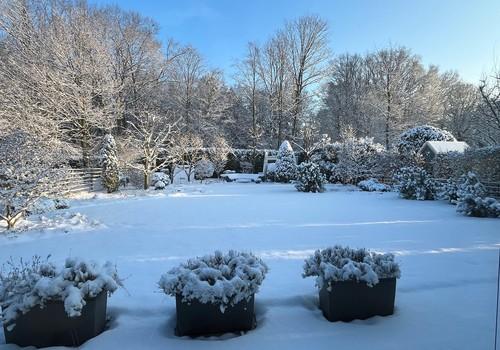 Garten bei Schnee