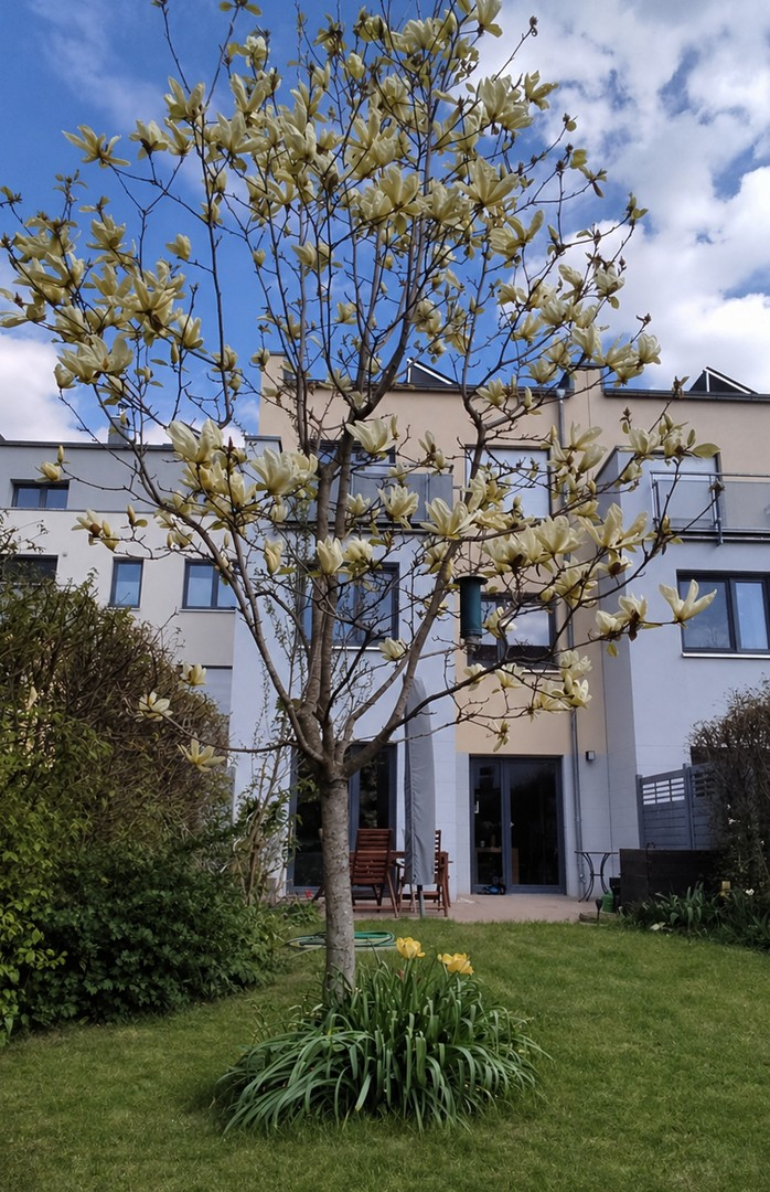 Gartenansicht