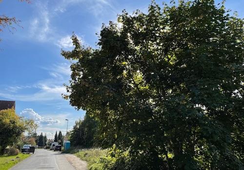 Anliegerstraße von Nord