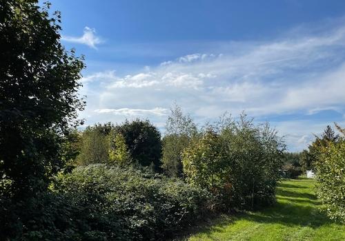 Weg an der Nordseite