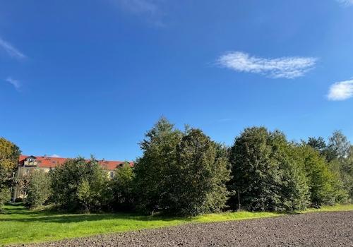 Ansicht von Nordwest (1)