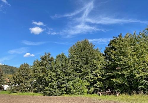 Ansicht von Südwest (1)