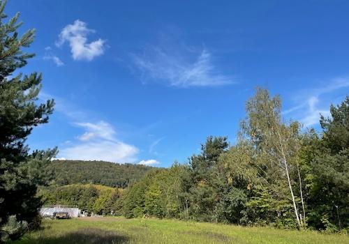 Ansicht von Südwest (2)