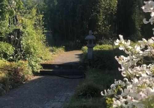 Landschaftsgartenausschnitt
