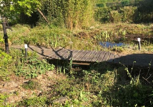 Brücke und Teich