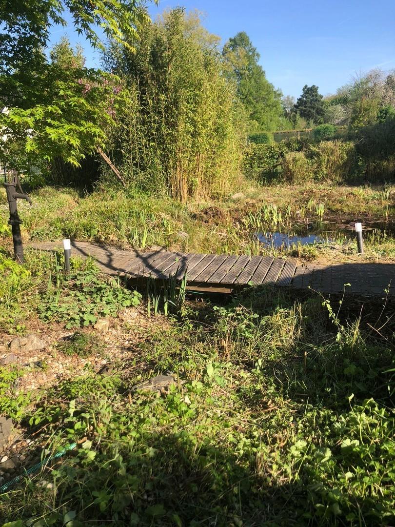 Brücke und Teich