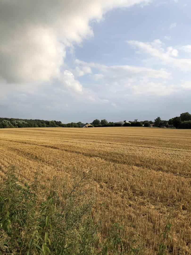 Blick in die Weite - Sommer