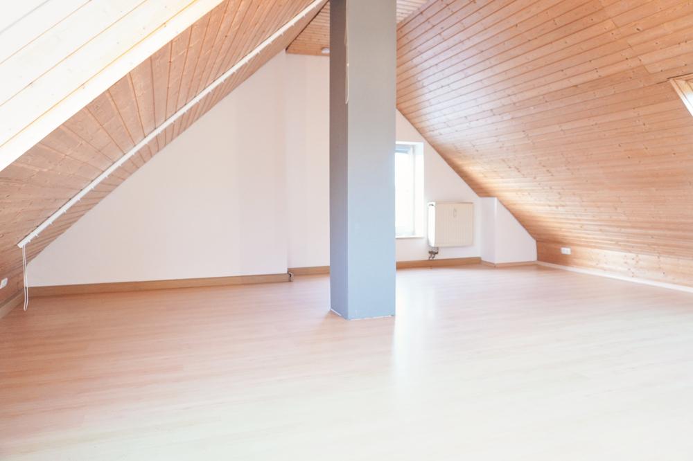 Zimmer DG (2)