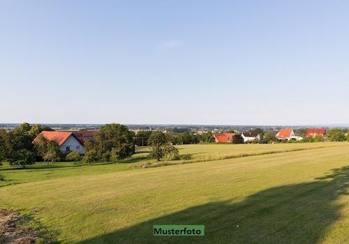 Keine Originalbilder