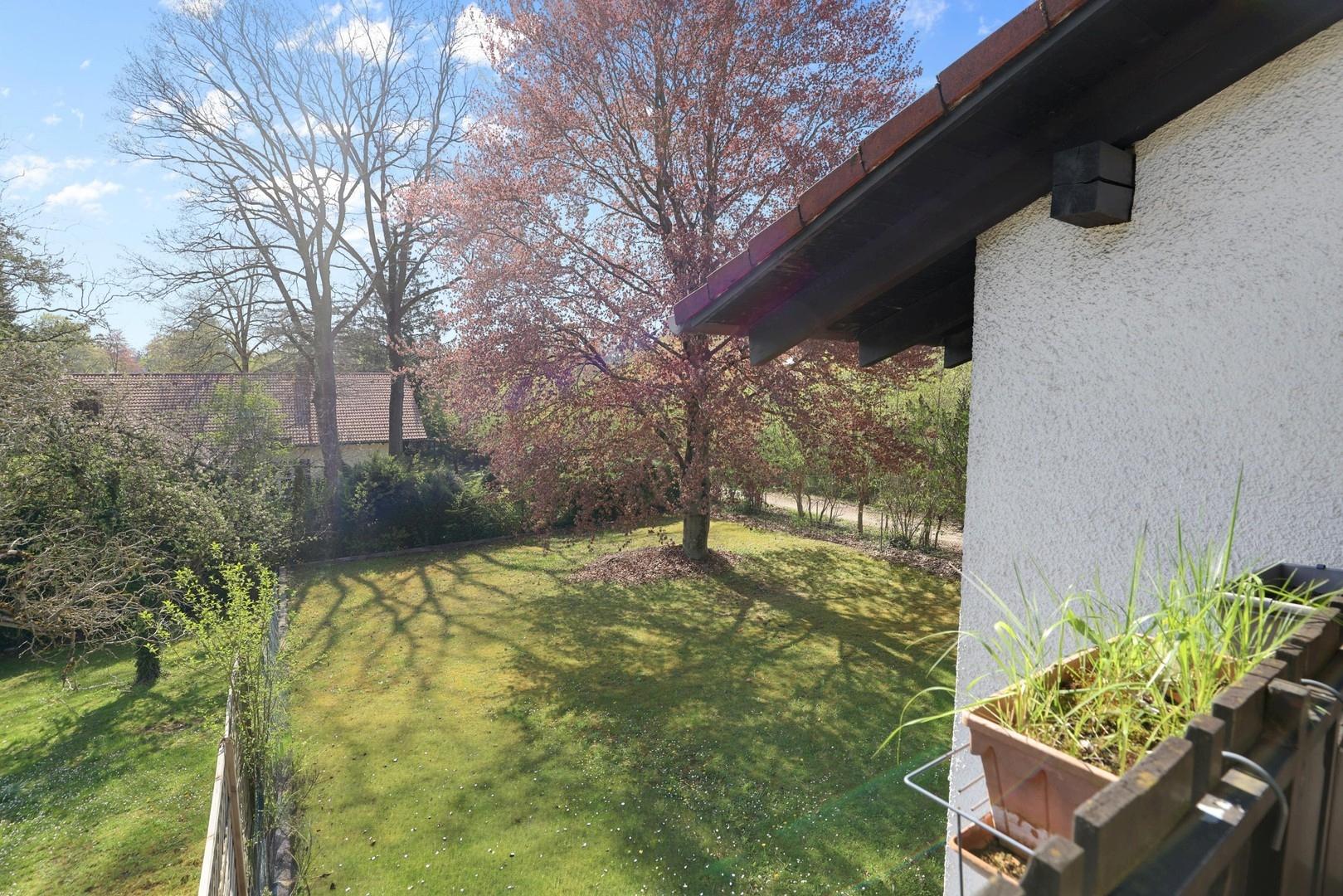Ausblick Balkon in den Garten