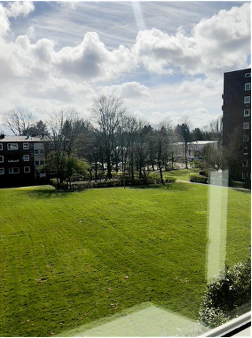 Blick aus dem Wohnzimmer
