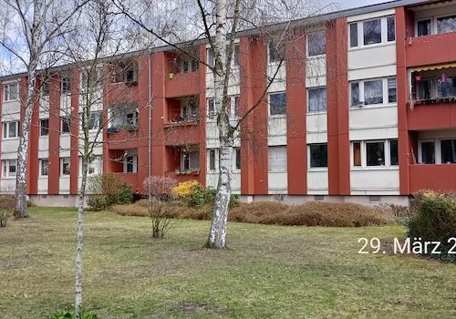 Blick aufs Haus