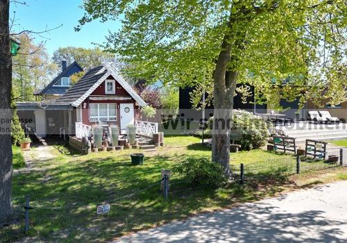 Frontansicht und Baumbestand