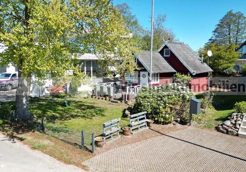 Frontansicht und Baumbestand