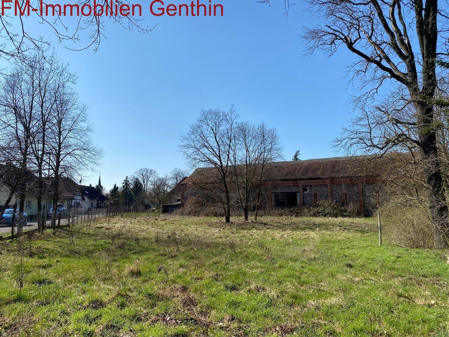 Garten / Wiese