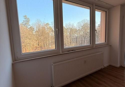 Ausblick Wohnzimmer
