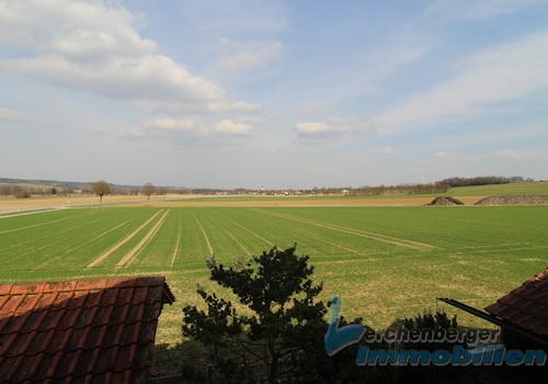 Blick in die Natur.jpg