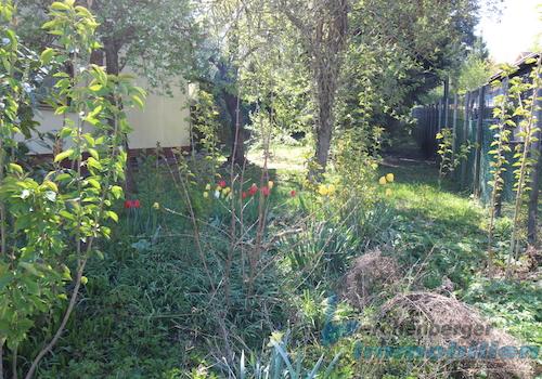 Garten.jpg