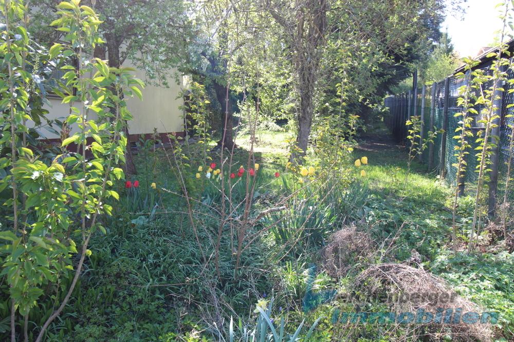 Garten.jpg