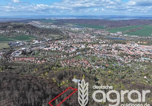 Blick Richtung Norden 