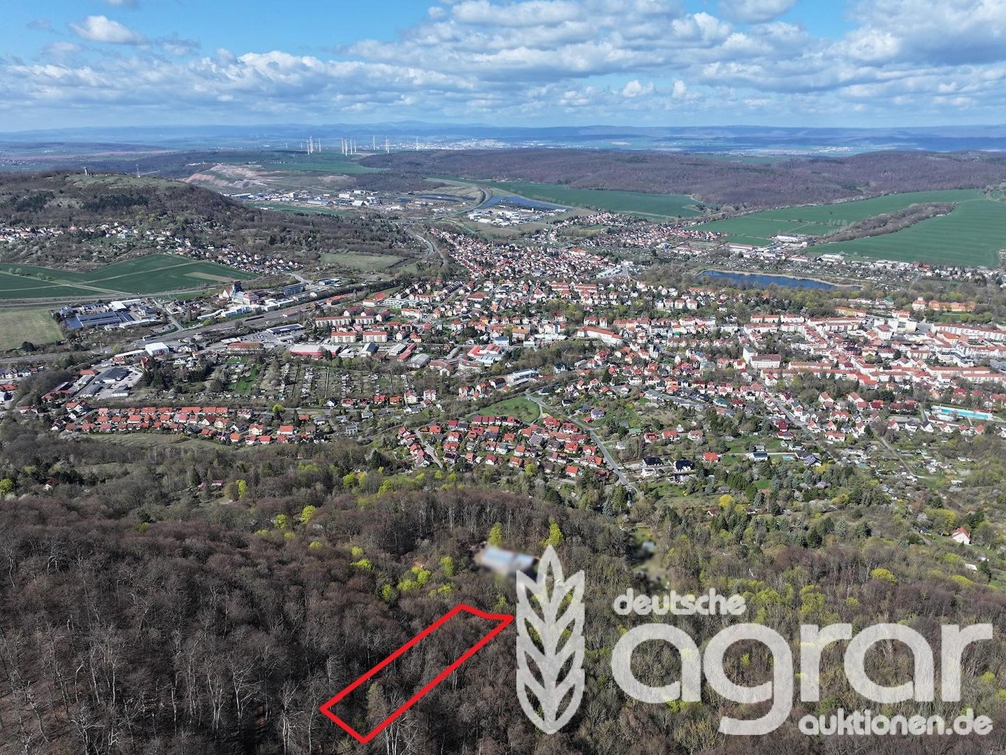 Blick Richtung Norden 