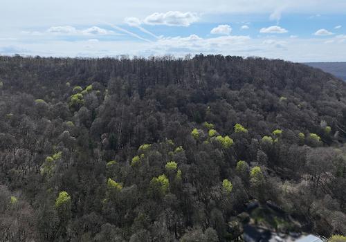 Blick Richtung Süden