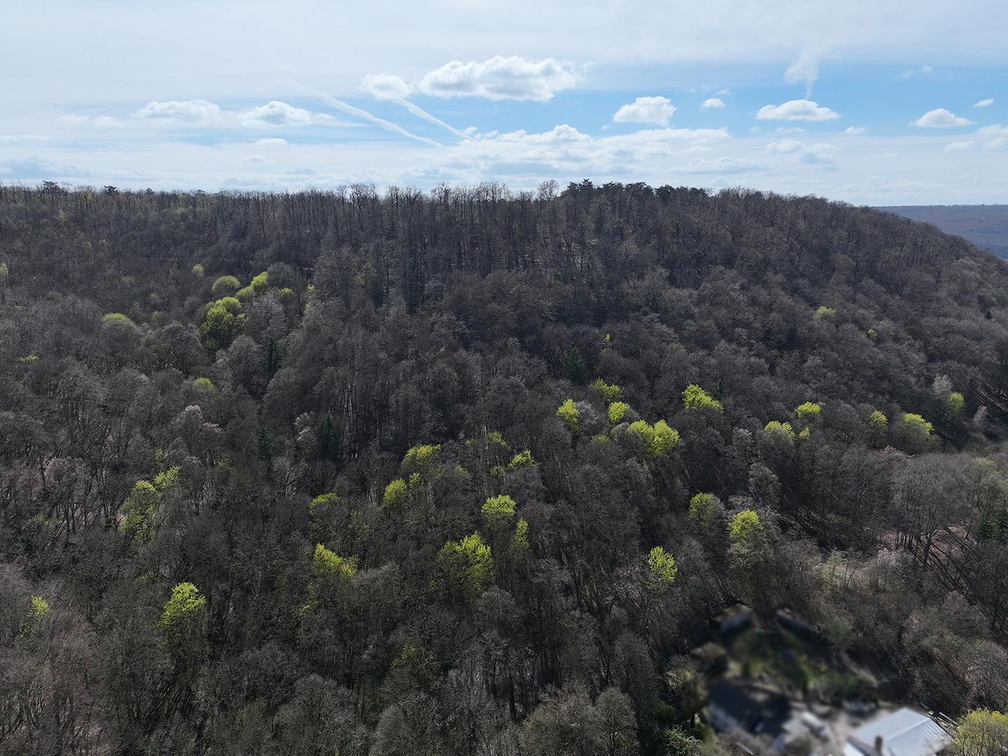 Blick Richtung Süden