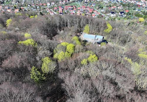 Blick auf die Kronen 