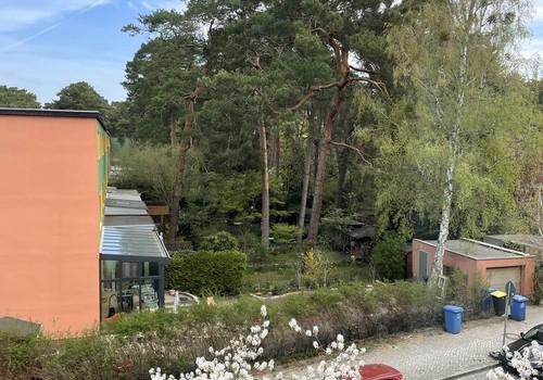 Ausblick nach Vorne raus