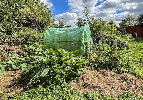 Gewächshaus und Gemüsebeet zur Selbstversorgung