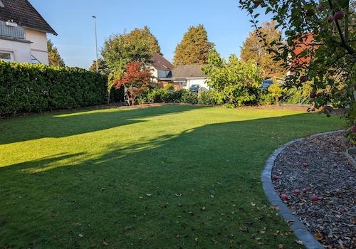 Blick in den Garten