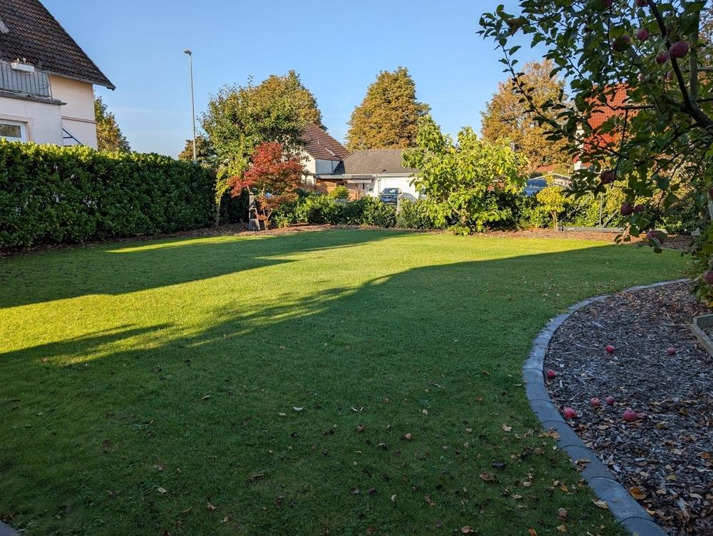 Blick in den Garten