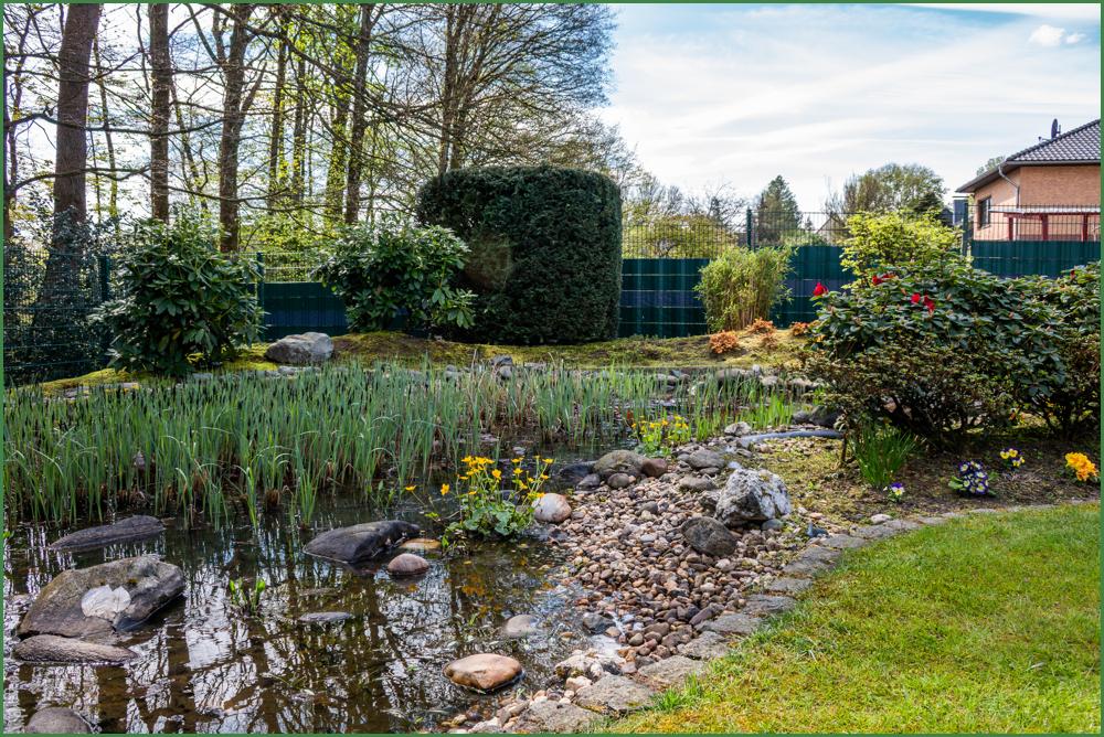 Teich im Gartenparadies