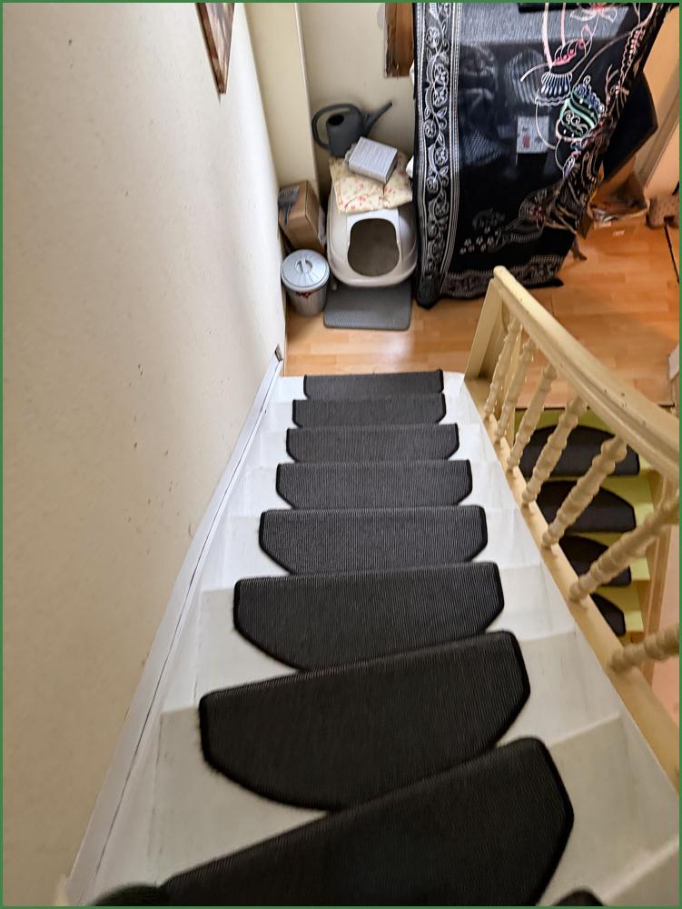 Neue Treppe Hausflur EG