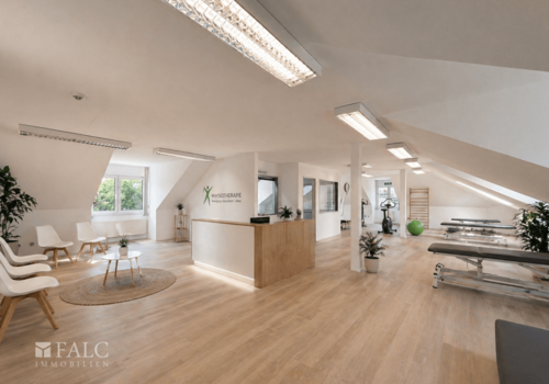 Visualisierungsvorschlag (Physiopraxis)