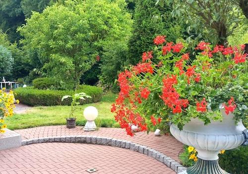 Garten von der Terasse