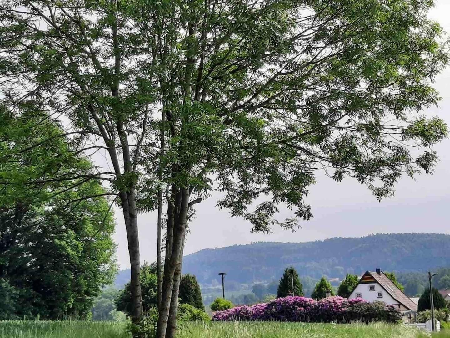 Haus aus der Ferne