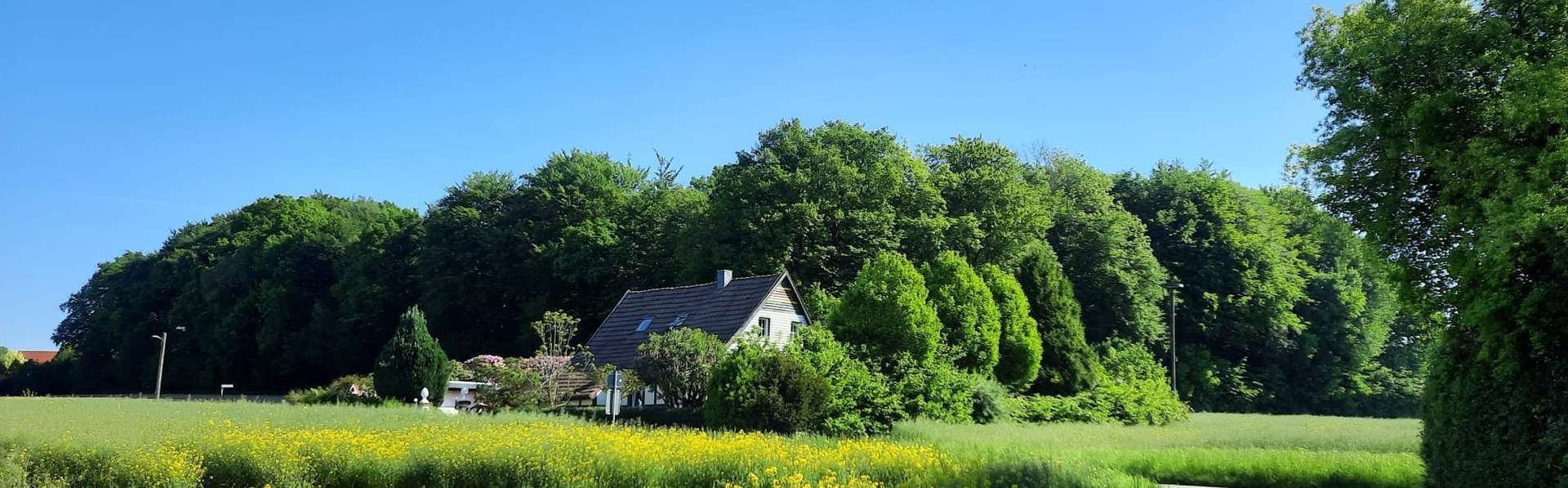 Weitsicht