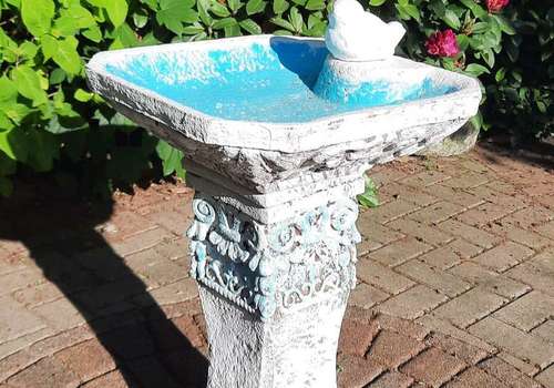 Vogeltränke 2